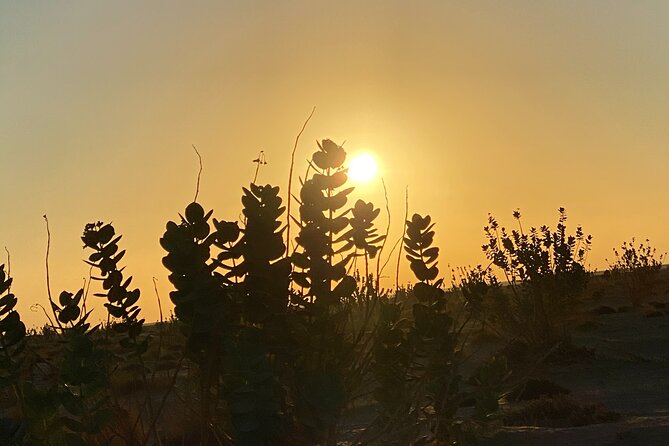 2-Day Overnight Desert Experience - Price and value, is $370 per person worth it?