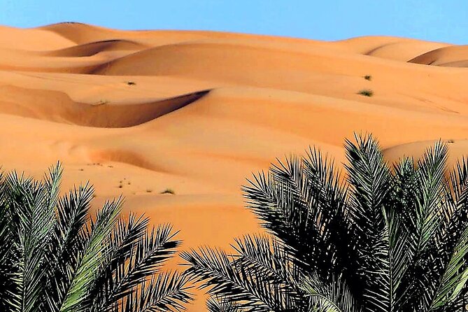 2-Day Private Wahiba Sands Desert Camping Tour from Muscat - Day 2 at Bedouin House and Wadi Bani Khalid: water, shade, then back to Muscat