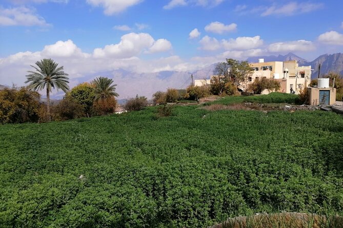 2 Days 1 Night Wakan Private Tour - Bait Al Ghasham Museum Near Afi: Architecture and Art Tied to Oman’s Past