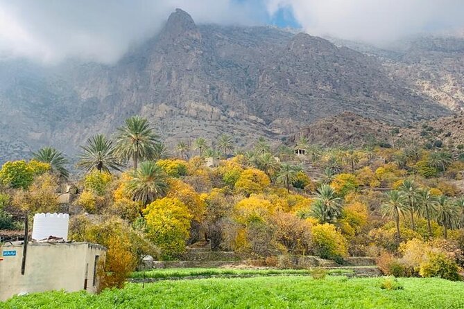 2 Days 1 Night Wakan Private Tour - Wadi Al Abyad: Easy Trekking, Freshwater Pools, and Palm Shade