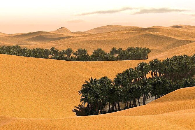 2 Days and 1 Night Private Wahiba Sands Desert Tour - Ibra the next morning: souq color and an ancient village stop