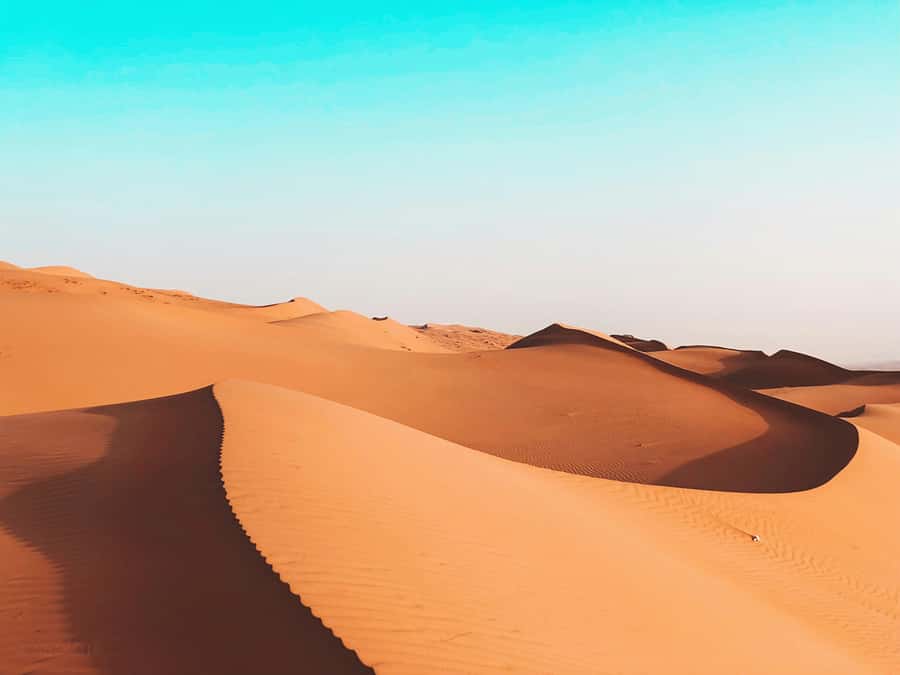 2 Days and 1 Night Private Wahiba Sands Desert with Wadi - Who this tour is best for (and who should rethink it)