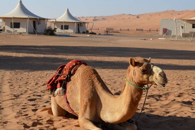 2 Days Desert Adventure Package - A two-day Muscat-to-desert hit with a real driver-guide