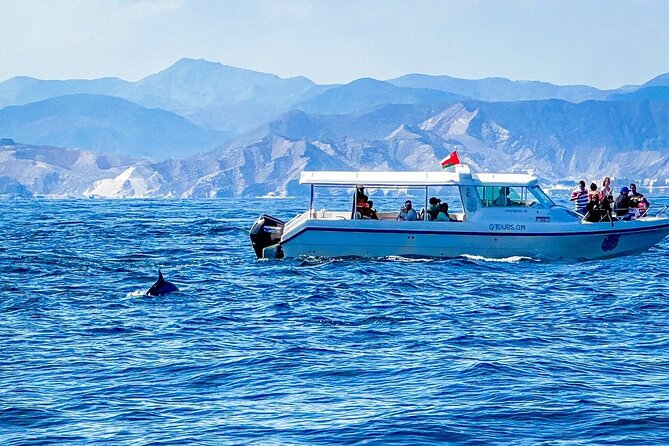 2 Hour Dolphin Watching Experience in Muscat - Dolphin Species You Might See Near Muscat