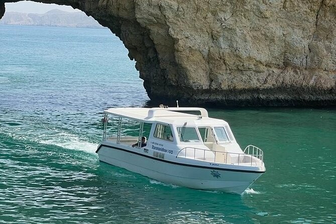 2 Hours Dolphin Watching Cruise in Muscat - Itinerary pace: meet-up, safety talk, coast views, dolphin time, then back