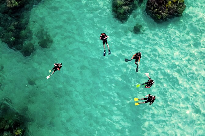 2 Hours Private Scuba Diving Activity in Qantab Beach - Shallow reef routes: max 12 meters and the three-site plan