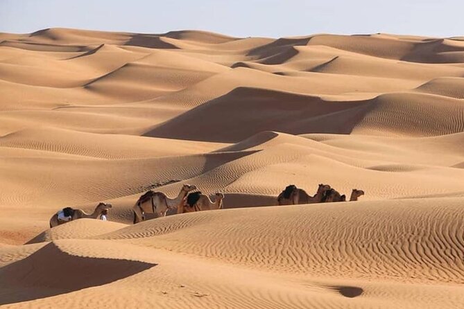 3-Days Private Tour in Oman with Pick Up - Who should book this 3-day Oman private tour, and who might skip it