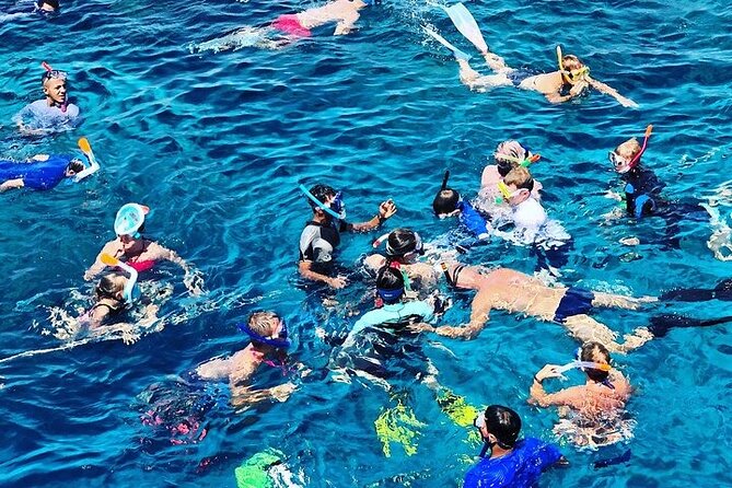 3 Hour Snorkeling and Dolphin Watching Experience in Muscat - Key Points You’ll Care About