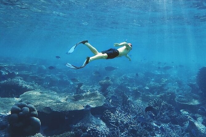 3 Hour Snorkeling and Dolphin Watching Experience in Muscat - Where the Boat Might Go (Including Bar A Jissah)