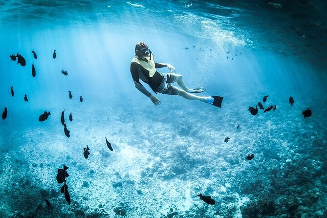 3 Hour Snorkeling and Dolphin Watching Experience in Muscat - What the 3 Hours Typically Feel Like (Without Overpromising)