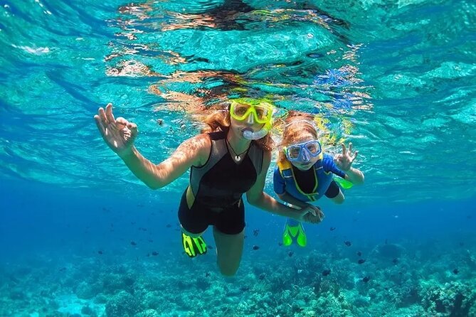 3 Hour Snorkeling and Dolphin Watching Experience in Muscat - Price and Value: Is $75 for 3 Hours a Good Deal?