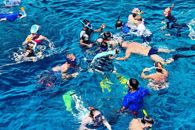 3-Hr Private Snorkeling and Dolphin Watching Tour at Muscat - Who this private tour is best for in Muscat