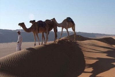 5 Days Package TOUR DINA