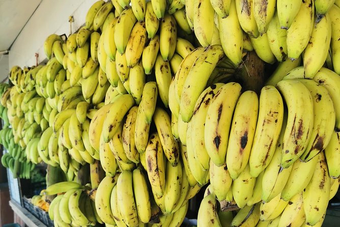 5 Hours of Salalah City Best | Private Tour - Al Haffa Beach and the coconut-water moment: a break from browsing