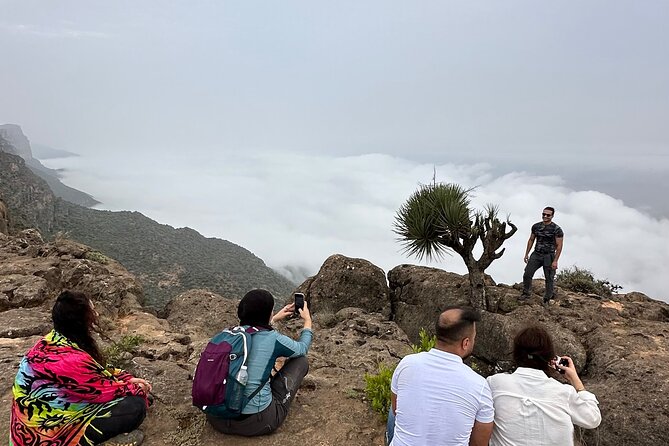 6 Hours Private Hiking in Salalah Mountains - Walking Through the Forest: Shade, Birds, and a Gentle Pace