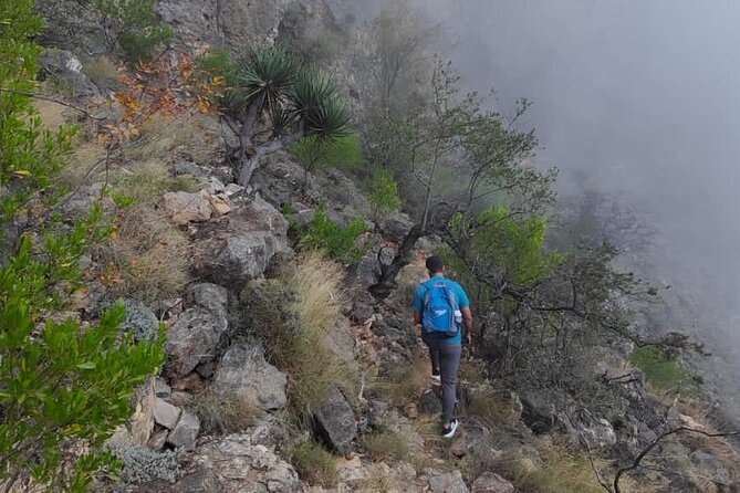 6 Hours Private Hiking in Salalah Mountains - If the Day Includes a Beach Segment: Dolphin Hopes and the Reality Check