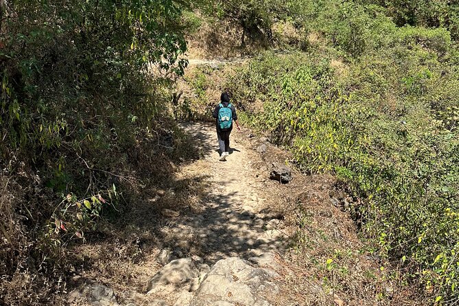 6 Hours Private Hiking in Salalah Mountains - Private Guide, English Support, and Why It Changes Everything