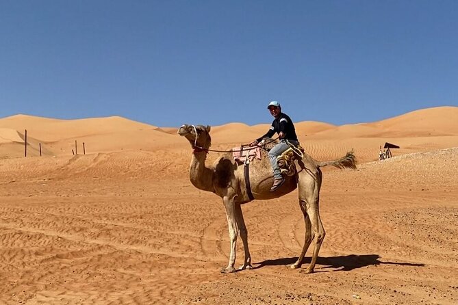 7-8 Hours Private Desert Adventure Trip with Activities - Why Wahiba Sands Makes a Big Day Trip Feel Worth It