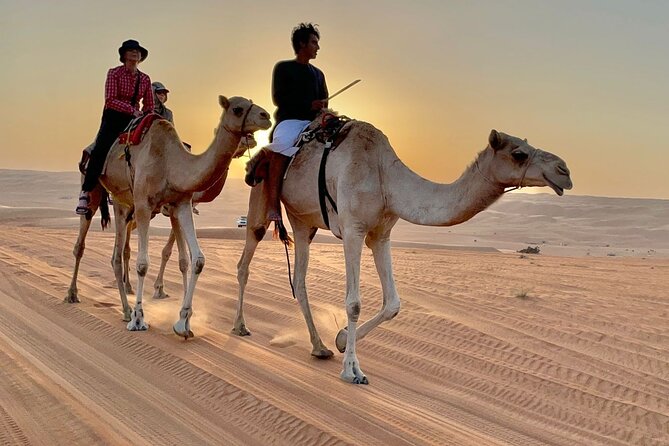 7-8 Hours Private Desert Adventure Trip with Activities - Wadi Fanja Photos, Then the Camel Ride That Connects to Bedouin Life
