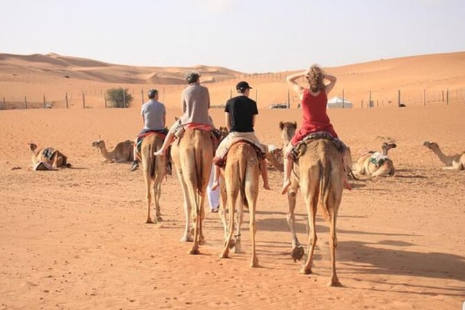 7-8 Hours Private Desert Adventure Trip with Activities - Price and Value: What $180 Covers, and What You’ll Pay Extra