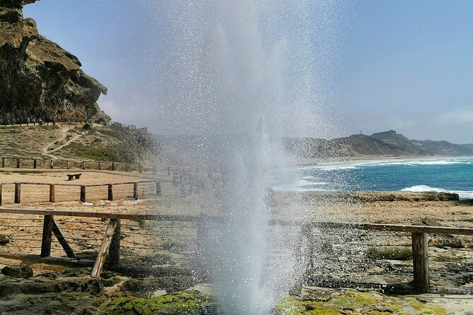 8 Hours of Salalah Best: East & West Private Tour - Frankincense trees and a quick incense-smell walk