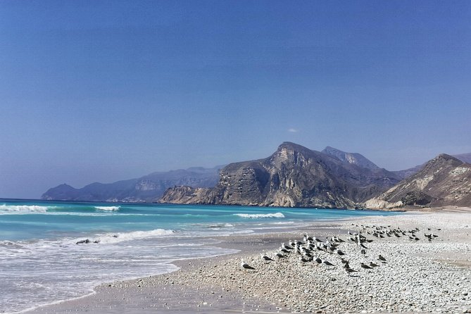 8 Hours of West Salalah Best | Private Tour - Price and what you really get for $150 per person