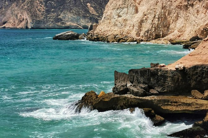 8 Hours of West Salalah Best | Private Tour - The Frankincense Trail: trees where the story still grows