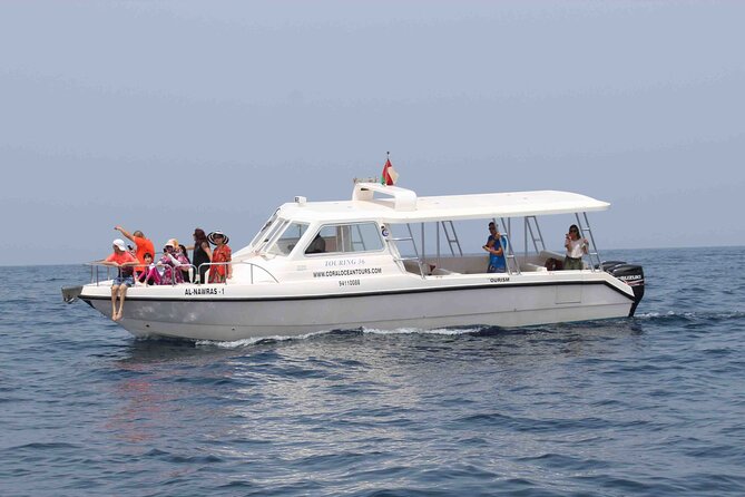 Amazing Dolphin Watching Tour In Muscat - Which dolphins you might see, plus whale sharks if you’re lucky