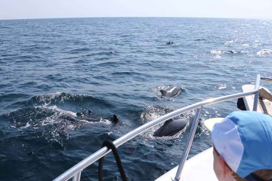Bandar Al Khayran Jorney: Group Tour with Snorkeling - What makes the Bandar Al Khayran snorkeling trip worth your time