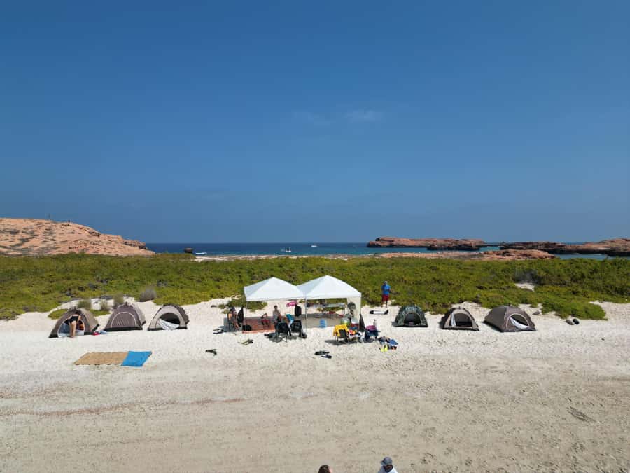 Camping to the Daymaniyat Islands with an overnight stay - Island Time After the Boats Leave: Snorkeling, Walking, and Night Magic
