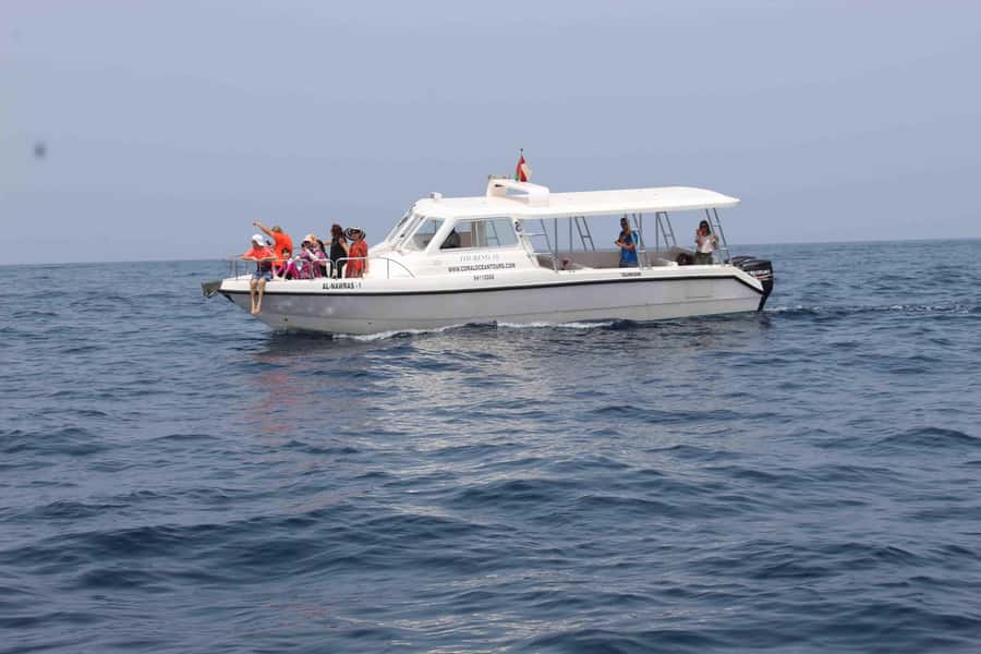 Coastal & Sunset Cruise in Muscat - Key things I’d look for before you book