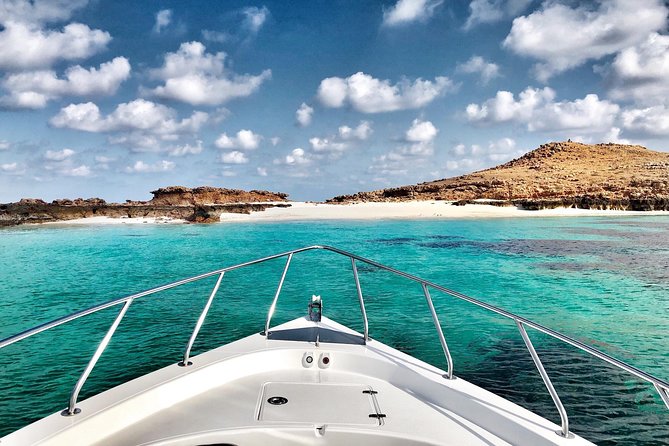 Cruises to Daymaniyat & Snorkeling - Daymaniyat Islands Nature Reserve: why this snorkel area is special