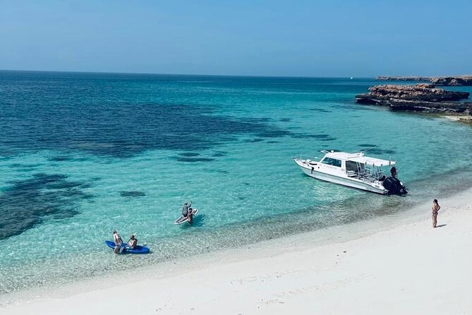 Cruises to Daymaniyat & Snorkeling - Stop 1 at Daymaniyat: what you do and what you’re looking for