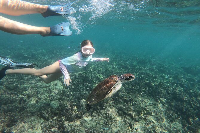 Cruises to Daymaniyat & Snorkeling - Snorkeling gear, crew help, and how the turtle spotting really works