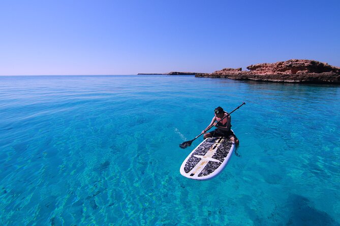 Cruises to Daymaniyat & Snorkeling - Price and value: what $108 really covers for this half-day