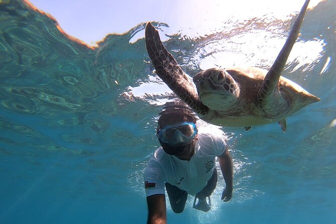 Cruises to Daymaniyat & Snorkeling - The 8:30 am marina start, and how the morning flows