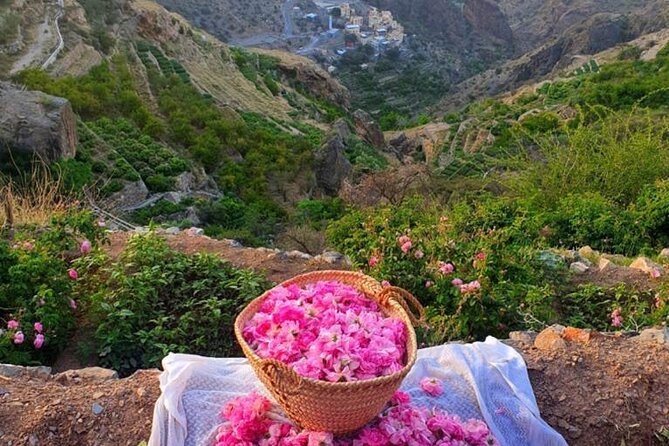 Damascus Roses - Discover the secrets of Al Jabal Al Akhdhar - Key Highlights You Should Know