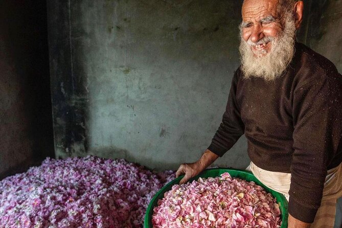 Damascus Roses - Discover the secrets of Al Jabal Al Akhdhar - Timing, Comfort, and How the 4-Hour Day Fits Your Trip