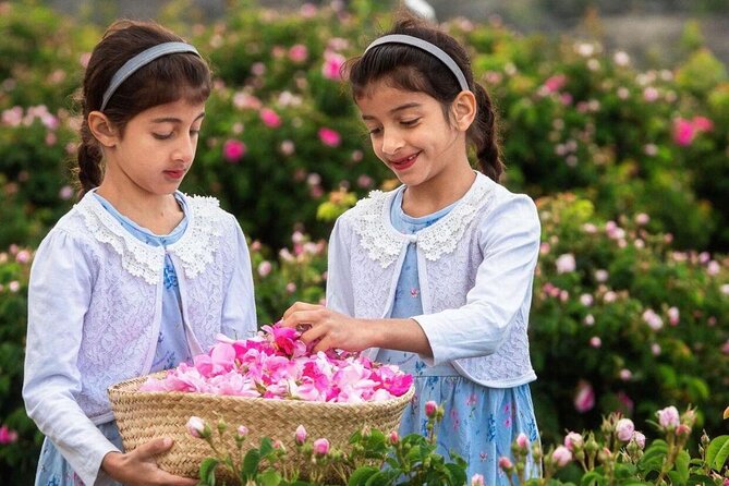 Damascus Roses - Discover the secrets of Al Jabal Al Akhdhar - Price and Logistics: Is $220 Per Person Worth It?