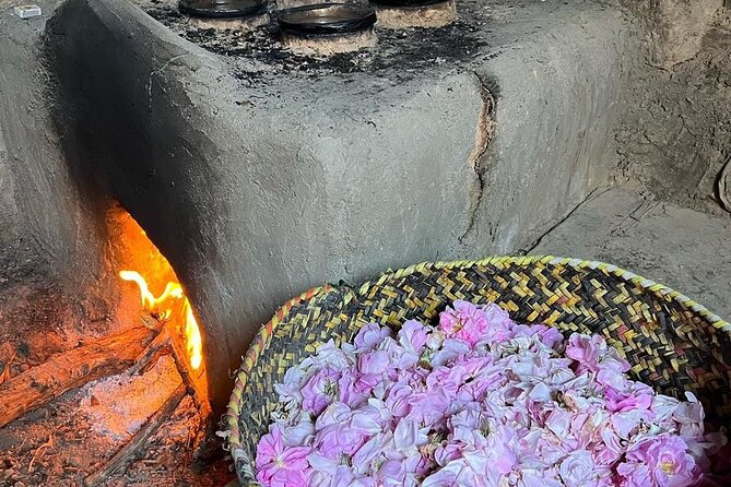 Damascus Roses - Discover the secrets of Al Jabal Al Akhdhar - Damascus Rose Gardens: The Mountain Scent You Came For