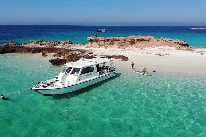 Daymaniyat island Natural Reserve and Dolphin Watching - Getting there: Sidab Sea Tours, 08:30 departure, and why early matters