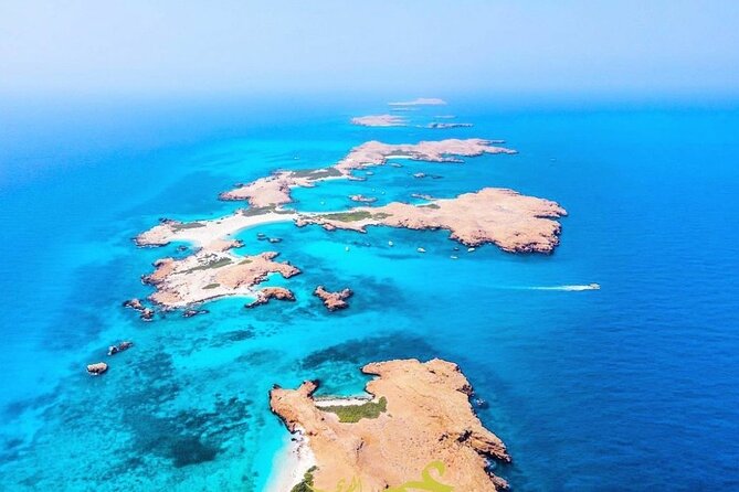 Daymaniyat island Natural Reserve and Dolphin Watching - Picnic lunch on the beach: a break from the swim and sun