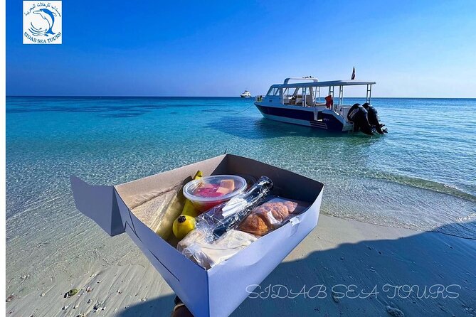 Daymaniyat island Natural Reserve and Dolphin Watching - Island exploration by boat: a short circle that changes your view