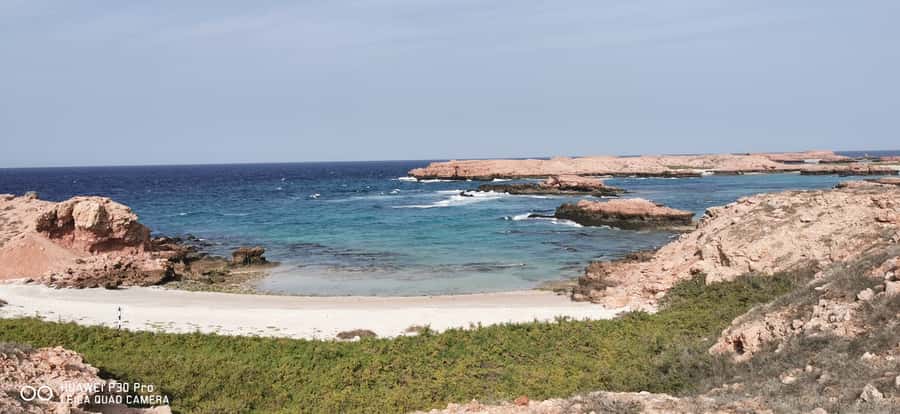 Daymaniyat Island: Snorkelling Tour with Tasty Lunch - Wildlife Targets: Turtles, Rays, Reef Sharks, and the Chance for Big Fish