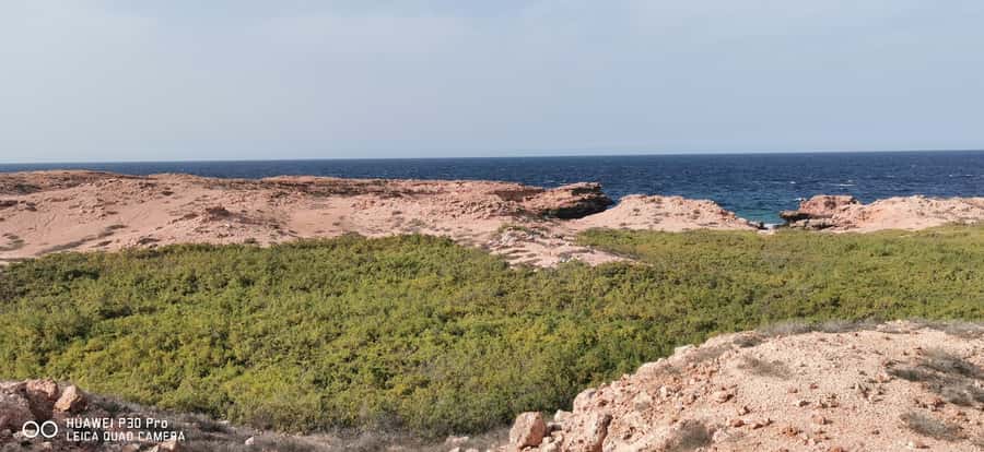 Daymaniyat Island: Snorkelling Tour with Tasty Lunch - Equipment and Safety: Beginner-Friendly Without Being Babysitting