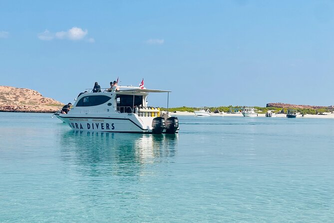 Daymaniyat Islands Snorkeling 2 different snorkeling sites and Lunch included - Key things to know before you go
