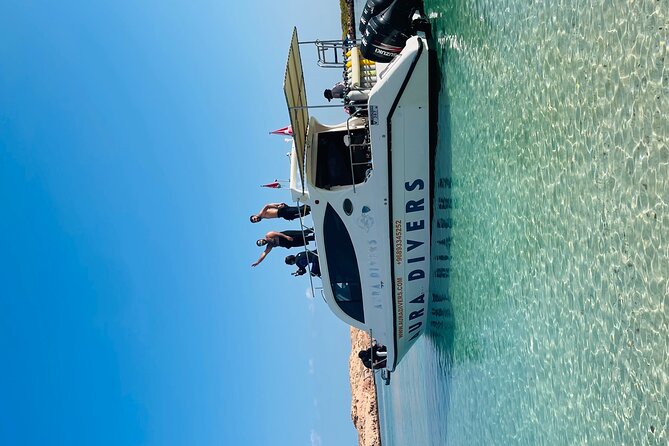 Daymaniyat Islands Snorkeling 2 different snorkeling sites and Lunch included - Why Daymaniyat Islands snorkeling feels so easy (and so good)