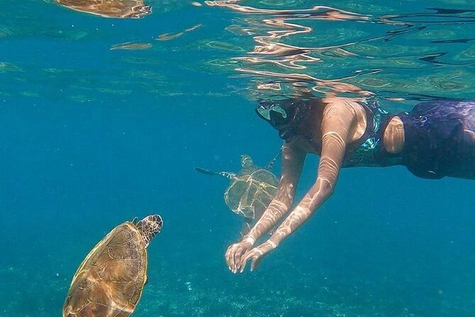 Daymaniyat Islands Snorkeling Half-Day Tour - Quick hits before you go
