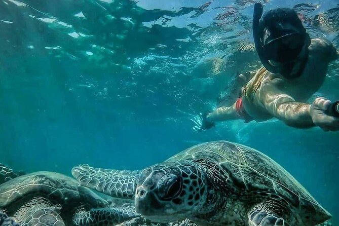 Daymaniyat Islands Snorkeling Half-Day Tour - Why Daymaniyat Islands feel like Oman’s Maldives
