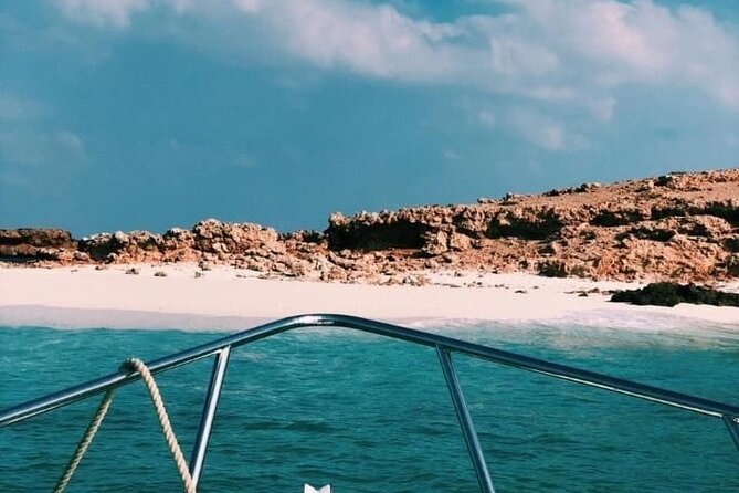 Daymaniyat Islands Snorkeling Half-Day Tour - Boat comfort and gear: what you actually get for $200